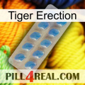 Tiger Erection 22